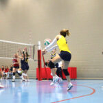 Rubicone In Volley - Serie D Femminile - promozione - ACSI Ravenna