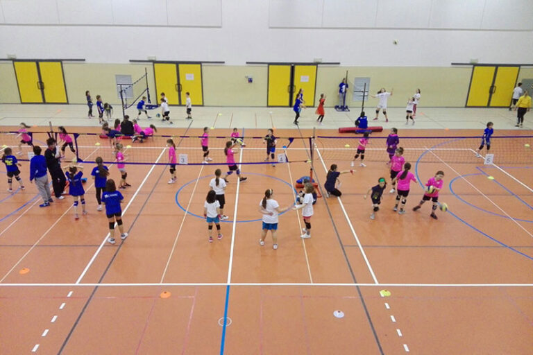 Festa di Carnevale 2018 MiniVolley Femminile Rubicone In Volley